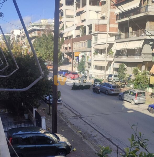 Κορμός δέντρου έσπασε από τους δυνατούς ανέμους στη Λαμία