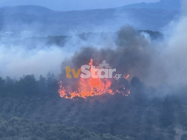 Φθιώτιδα: Πήγε να κάψει ξερά κλαδιά και προκάλεσε δασική πυρκαγιά (video)
