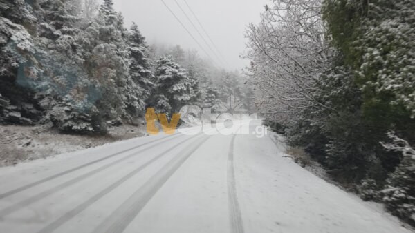 Στα λευκά οι ορεινές περιοχές των δήμων Λαμιέων και Μακρακώμης. Σε επιφυλακή οι αρχές