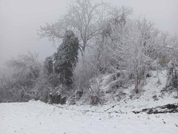 Παραμυθένιο σκηνικό από το πρώτο χιόνι στη Δυτική Φθιώτιδα (φωτορεπορτάζ) 