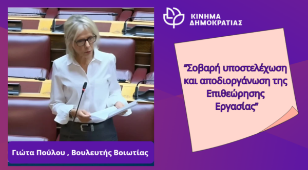 Γ. Πούλου: Σοβαρή υποστελέχωση και αποδιοργάνωση της Επιθεώρησης Εργασίας