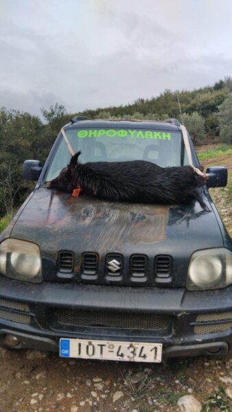 Κυνηγετικός σύλλογος Λαμίας: Τρία νέα περιστατικά λαθροθηρίας