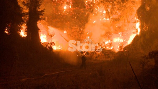 Στο αρχείο οι μηνύσεις για την φωτιά της Βόρειας Εύβοιας – Η δικαιοσύνη αποφάσισε για το «Τις πταίει»;