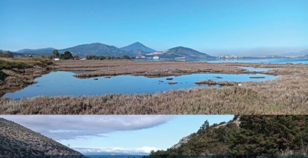 Ο Σύλλογος ΣΙΔΕΡΙΤΗΣ τιμά την “Παγκόσμια Ημέρα Υγροτόπων” στους υγρότοπους της Αυλίδας