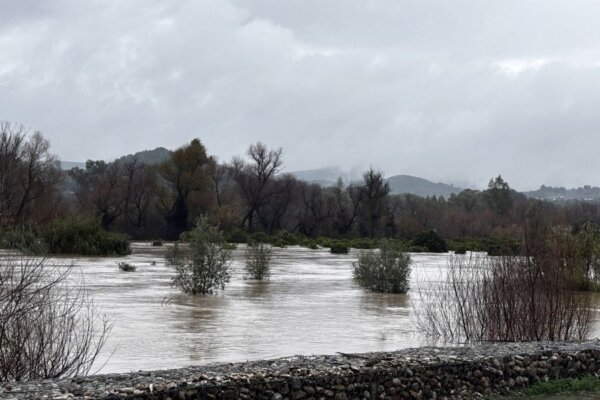 Πολλά προβλήματα από την κακοκαιρία στην Ηλεία – Υπερχείλισε ο Αλφειός
