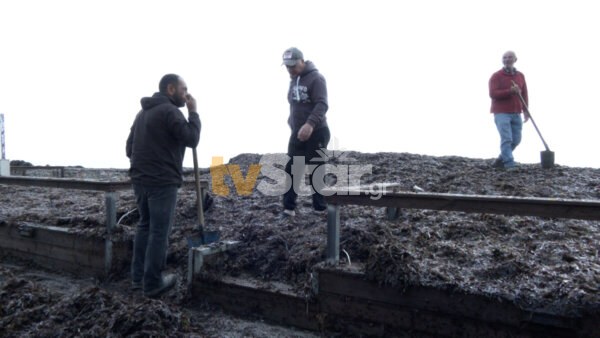 Πρωτοφανές φαινόμενο τεράστιων κυμάτων προκάλεσε ζημιές στην παραλία Κύμης και Αγίων Αποστόλων