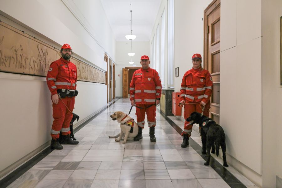 Δωρεά σκύλων διασωστών από τη Βουλή, ο King και η Kira στο δυναμικό του Ερυθρού Σταυρού