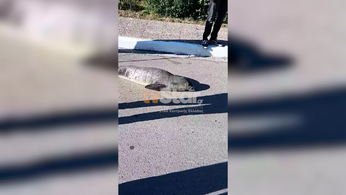 ΤΑ ΣΗΜΑΝΤΙΚΟΤΕΡΑ ΝΕΑ