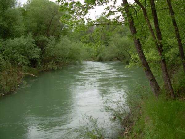 Όμιλος Φίλων Δάσους Λαμίας: Υποδεχόμαστε την Άνοιξη με πεζοπορία