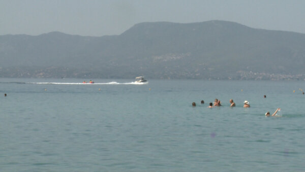 Πλωτά φράγματα σε δήμους της Στερεάς για τις μέδουσες