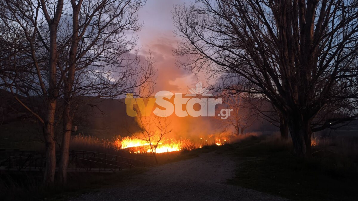 ΤΑ ΣΗΜΑΝΤΙΚΟΤΕΡΑ ΝΕΑ