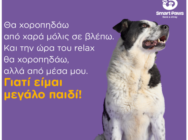Υιοθετήστε έναν ενήλικα σκύλο – Καμπάνια της Ειδικής Γραμματείας Προστασίας Ζώων