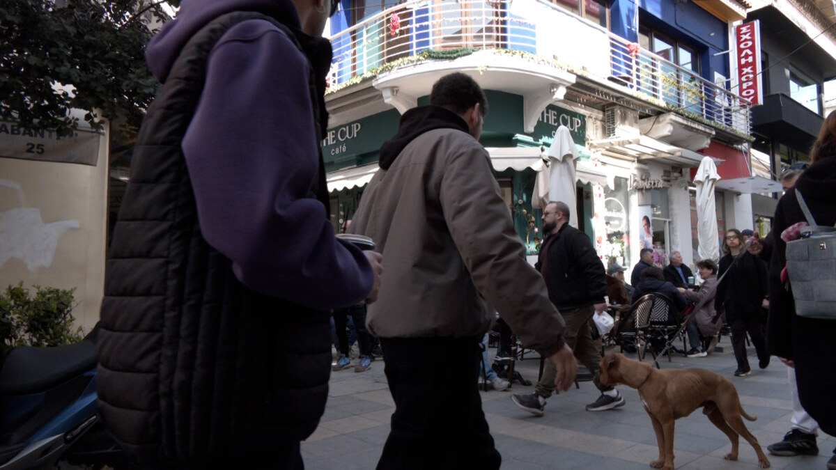 ΤΑ ΣΗΜΑΝΤΙΚΟΤΕΡΑ ΝΕΑ