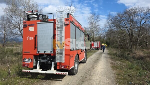 Σοκ: Νεκρός 68χρονος  που καταπλακώθηκε από δένδρο (φωτο video)