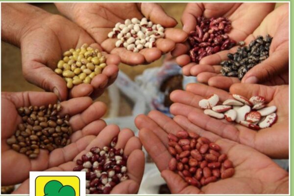 Όμιλος Φίλων Δάσους Λαμίας: Εαρινή συνάντηση Σποροφυλάκων Φθιώτιδας (ΦΩΤΟ)