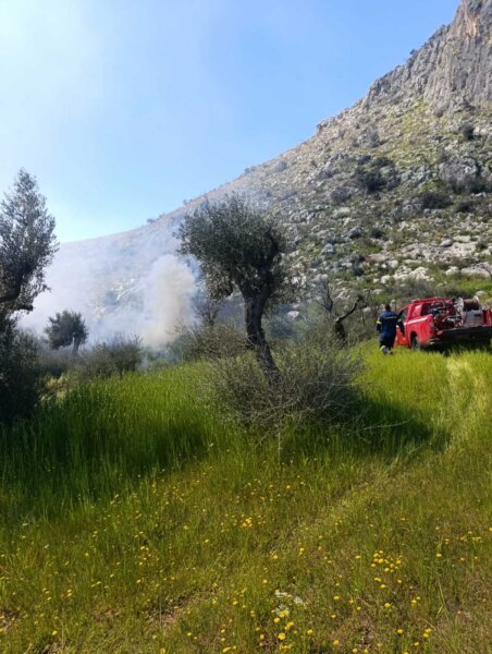 Σαράντη Βοιωτίας: Φωτιά σε ελαιώνα (φωτο)