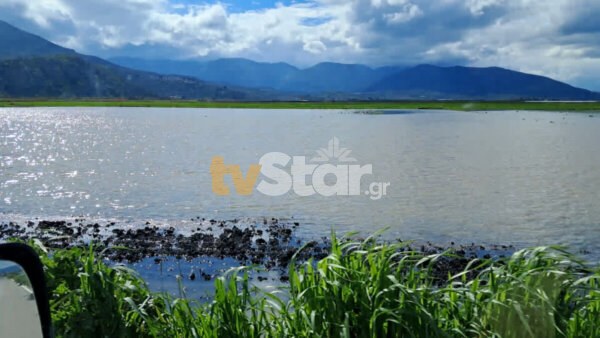 Βοιωτία: Γέμισαν τα ποτάμια. Πλημμύρισαν καλλιέργειες.(video)