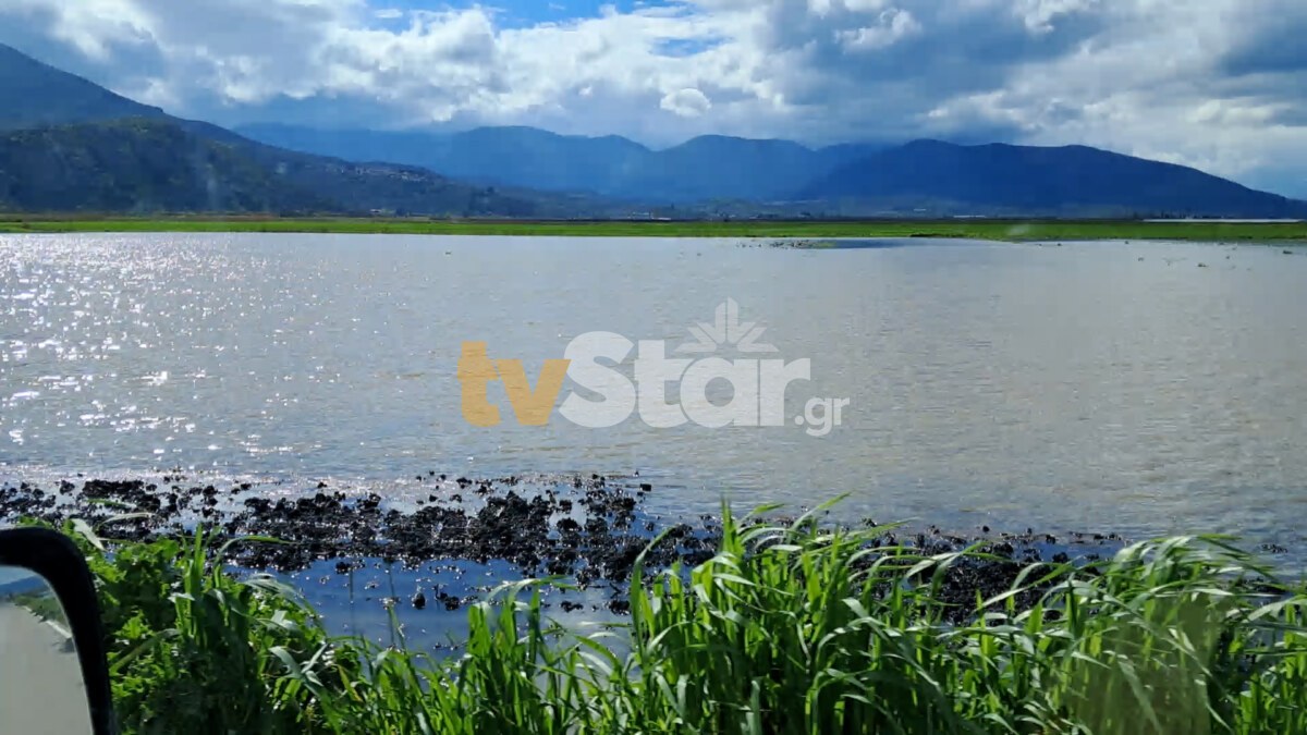 ΤΑ ΣΗΜΑΝΤΙΚΟΤΕΡΑ ΝΕΑ