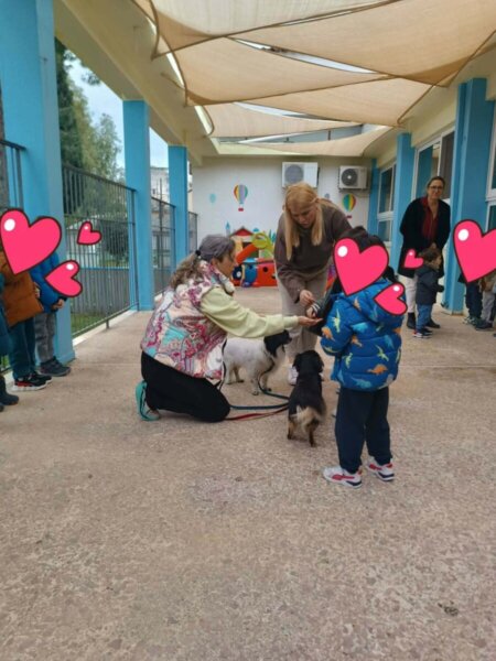 Εκπαιδευτική Δράση :«Τα  “ΑΔΕΣΠΟΤΑΚΙΑ” –  ο “Μίμης και η Στέφη” στο σχολείο μας»