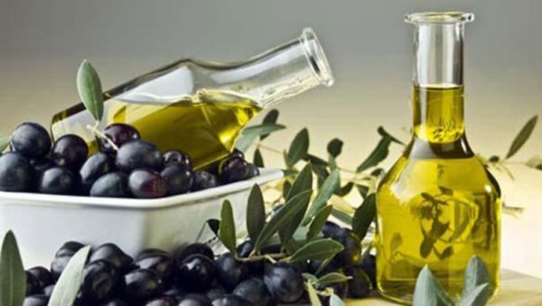 Ενημερωτική εσπερίδα για τη βιωσιμότητα στην ελαιοπαραγωγή την Τετάρτη 15 Απριλίου στην Αταλάντη