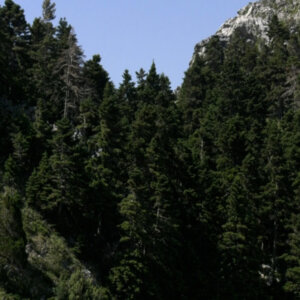 ΤΑ ΣΗΜΑΝΤΙΚΟΤΕΡΑ ΝΕΑ