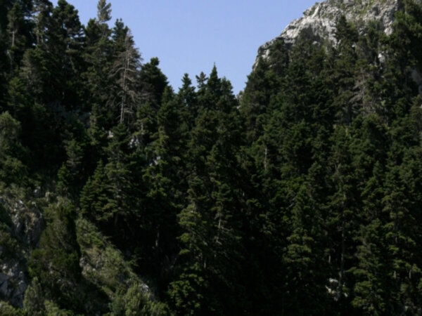 Μόνο η Εύβοια από την Στερεά πρωτοστάτησε στη διαβούλευση για τις ΑΠΕ