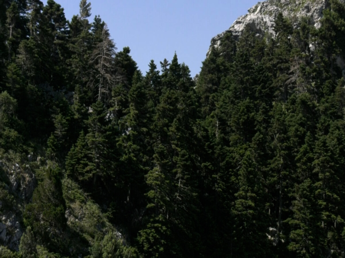 ΤΑ ΣΗΜΑΝΤΙΚΟΤΕΡΑ ΝΕΑ