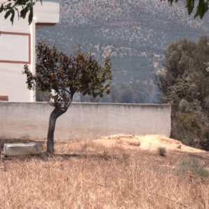 ΤΑ ΣΗΜΑΝΤΙΚΟΤΕΡΑ ΝΕΑ