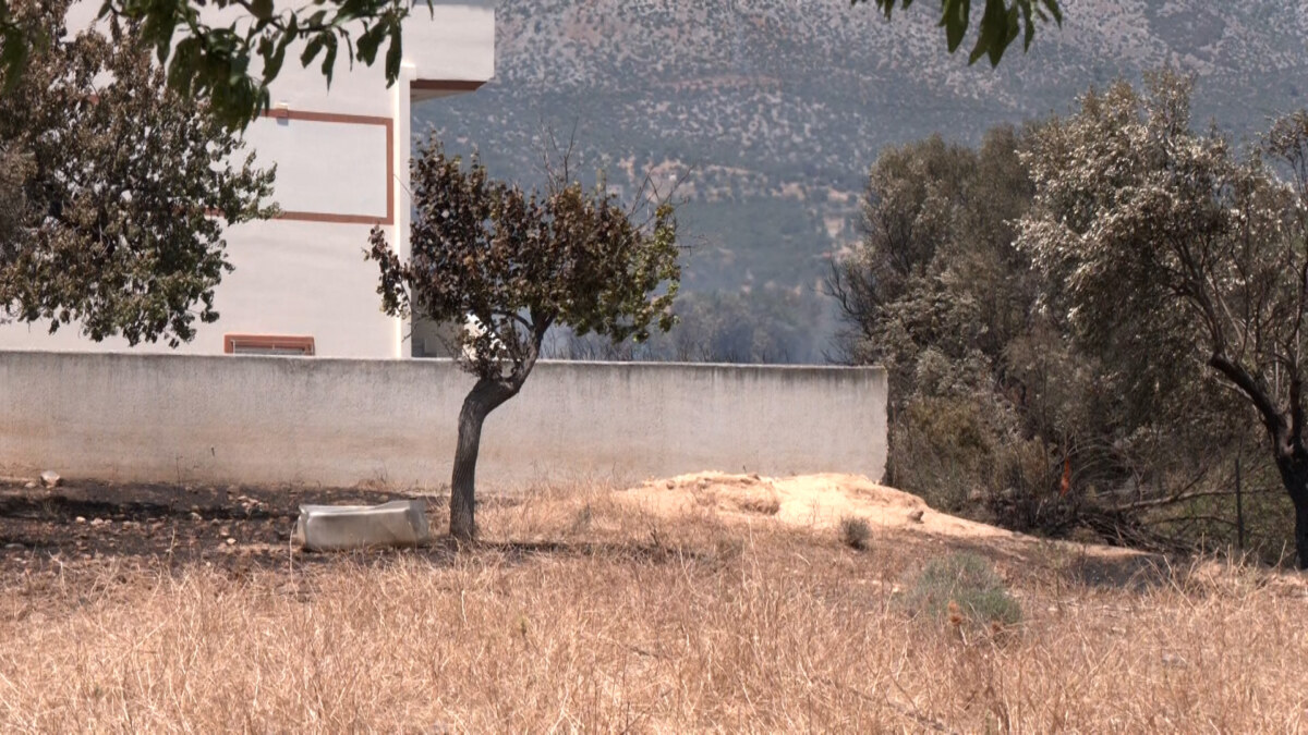 ΤΑ ΣΗΜΑΝΤΙΚΟΤΕΡΑ ΝΕΑ