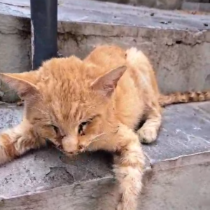 ΤΑ ΣΗΜΑΝΤΙΚΟΤΕΡΑ ΝΕΑ