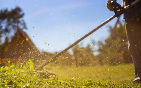 Δήμος Θηβαίων: Yποχρεωτικοί καθαρισμοί οικοπέδων – Αυστηρό πλαίσιο προστίμων