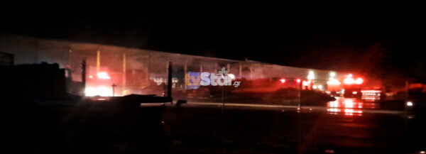 Φωτιά σε εκκοκκιστήριο στον Ορχομενό (video)