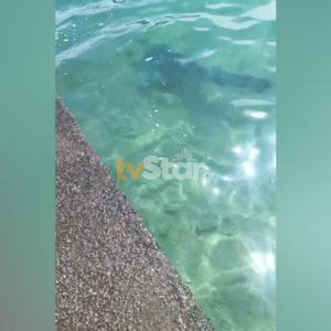 ΤΑ ΣΗΜΑΝΤΙΚΟΤΕΡΑ ΝΕΑ
