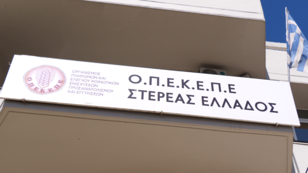 Παραμένουν ακαλλιέργητα τα χωράφια. Αγρότες της Φθιώτιδας στον ΟΠΕΚΕΠΕ. (video)
