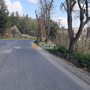ΤΑ ΣΗΜΑΝΤΙΚΟΤΕΡΑ ΝΕΑ