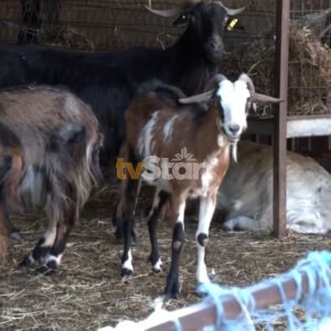 ΤΑ ΣΗΜΑΝΤΙΚΟΤΕΡΑ ΝΕΑ