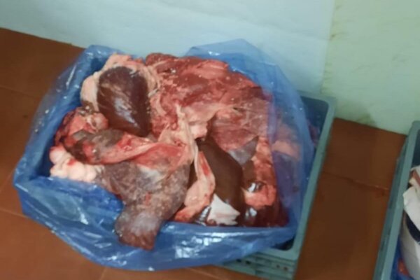 Κατασχέθηκαν 5,3 τόνοι ακατάλληλων κρεάτων από την Περιφέρεια Αττικής -Εφταναν σε εστιατόρια και ξενοδοχεία