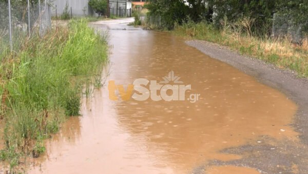 Κακοκαιρία στη Φθιώτιδα: Πτώσεις δέντρων, πλημμυρισμένοι δρόμοι και καταστροφές σε καλλιέργειες (video)