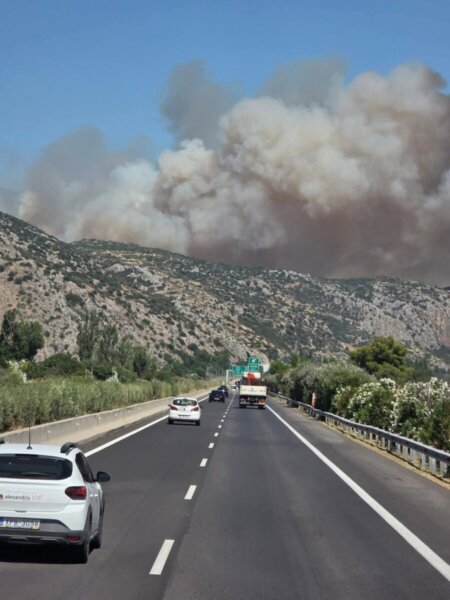 Βοιωτία: Μάχη με τις φλόγες σε Ελαιώνα Θήβας και Ακραίφνιο – Κλειστή η εθνική οδός (video)