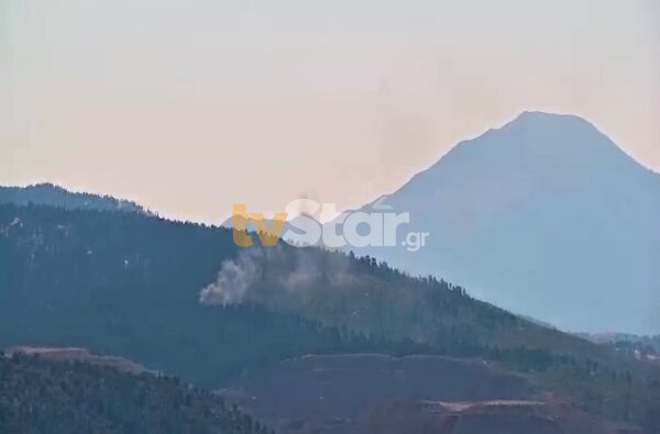 Άμεση επέμβαση Πυροσβεστικής και Πολιτικής Προστασίας για την φωτιά στην Κεντρική Εύβοια