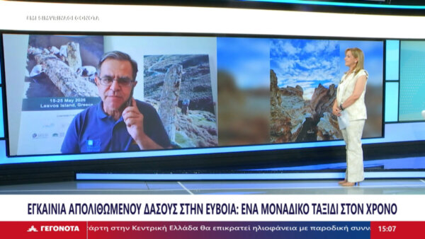 7εκ. χρόνια μετρά το Απολιθωμένο Δάσος Κερασιάς – Εγκαινιάζεται τον Ιούλιο