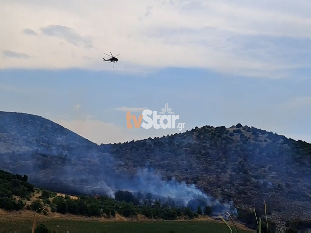 Βοιωτία: Φωτιά στο Ακόντιο Λιβαδειάς – Σηκώθηκαν αεροσκάφη και ελικόπτερα (video)