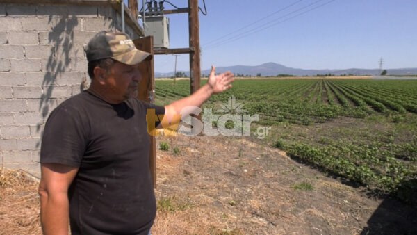 Ξανά απλήρωτοι οι αγρότες της Βοιωτίας.(video)