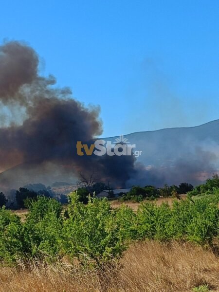 Φωτιά στη Μαριολάτα Φωκίδας – Σηκώθηκαν τα PZL (video)