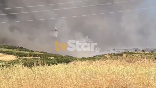Φωτιά στο Καλαπόδι Φθιώτιδας – Στη “μάχη” 9 αεροσκάφη. (φωτο – video)