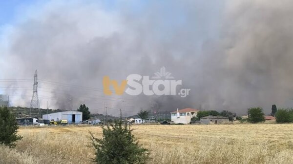 Την συμπαράστασή του εκφράζει ο Αγροτικός Σύλλογος «Ησίοδος» προς τους αγρότες και τους κατοίκους της Λοκρίδας για την πρόσφατη πυρκαγιά