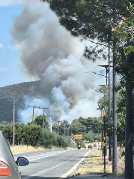 Μεγάλη φωτιά στην Οινόη , διακοπή κυκλοφορίας οχημάτων σε σημεία της παλαιάς εθνική οδού