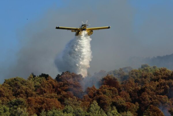 Συνολικά 20 συλλήψεις για πρόκληση πυρκαγιάς από αμέλεια τις πρώτες πέντε ημέρες του Ιουλίου