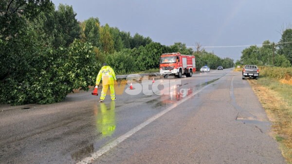 Απίστευτης έντασης το μπουρίνι στη Βοιωτία.(video)