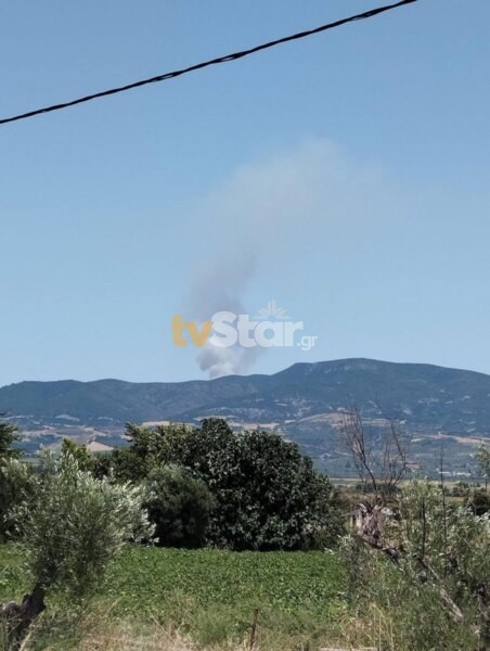 Φωτιά κοντά στο Ρεγκίνι – Σηκώθηκαν εναέρια μέσα